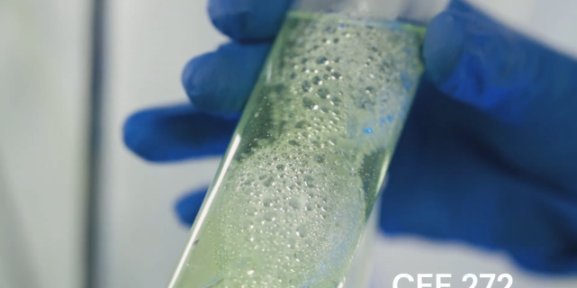 cee-272
